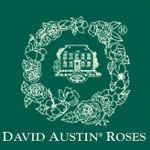 David Austin® Roses
