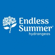Endless Summer™ Hydrangea